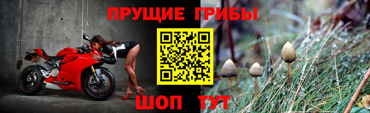 Каспийск  Галлюциногенные грибы мицелий  Псилоцибиновые грибы Magic Shrooms  Вход с VPN 